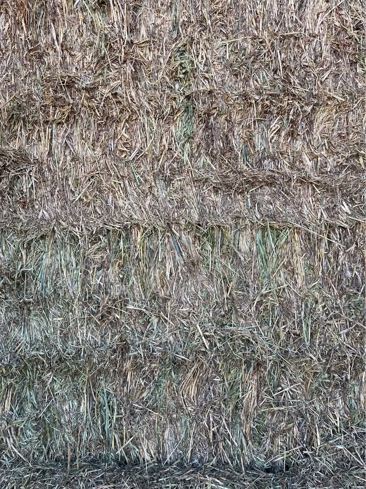 2025 season vetch and oat mix hay bale