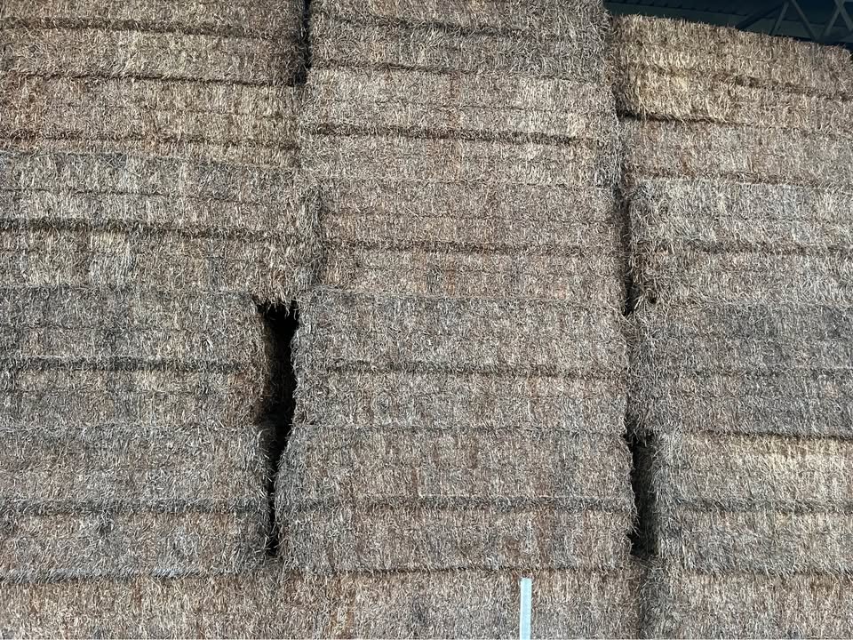 Stacked large square vetch hay bales in the shed