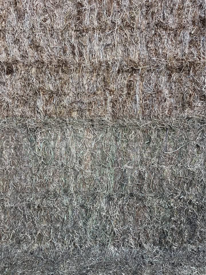 Premium vetch hay bales grown on our Central Victoria farm